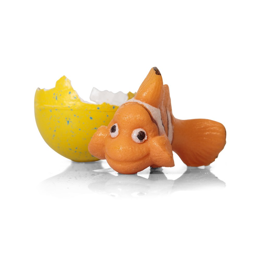 GROWING HATCHING CLOWN FISH