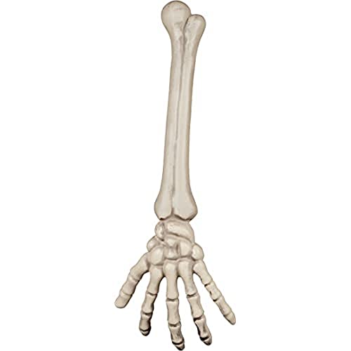 Boland Skeleton Arm, Decoration, Approx. 46 cm