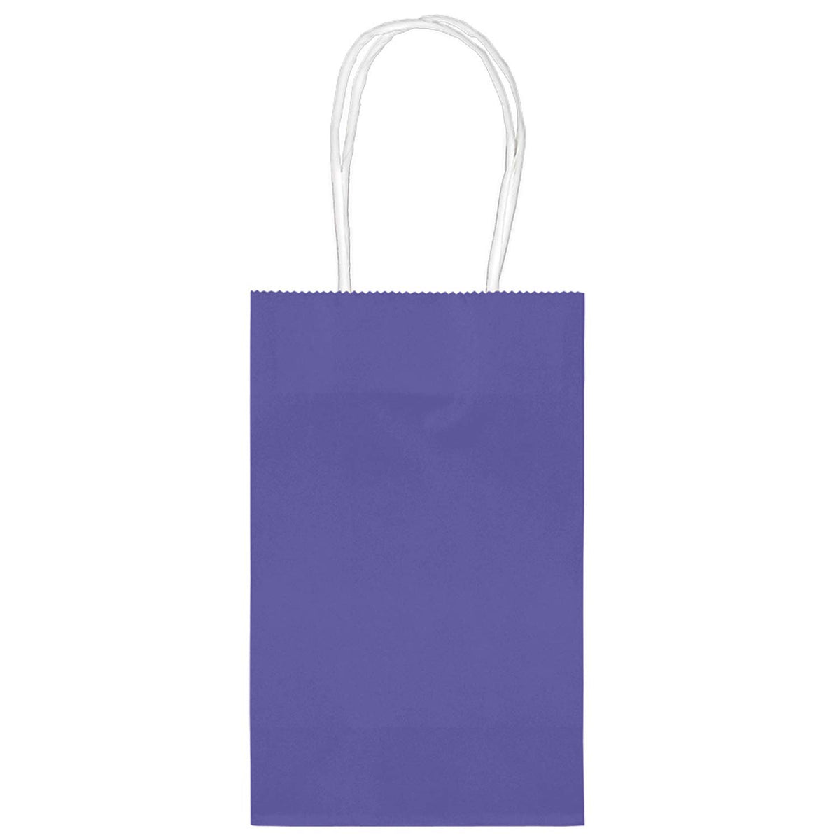 amscan Purple Paper Gift Bags 10 Per Pack