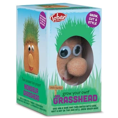 Tobar MR GRASSHEAD