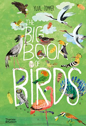 BIG BOOK OF BIRDS