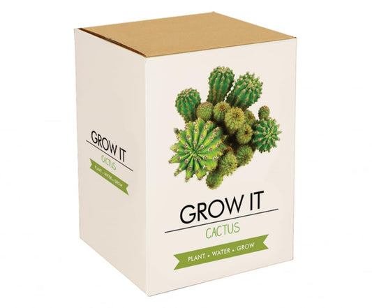 SINGLE UNIT - Cactus Plants