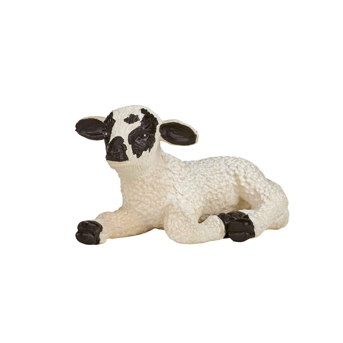 SINGLE UNIT - Black Faced Lamb Lying down