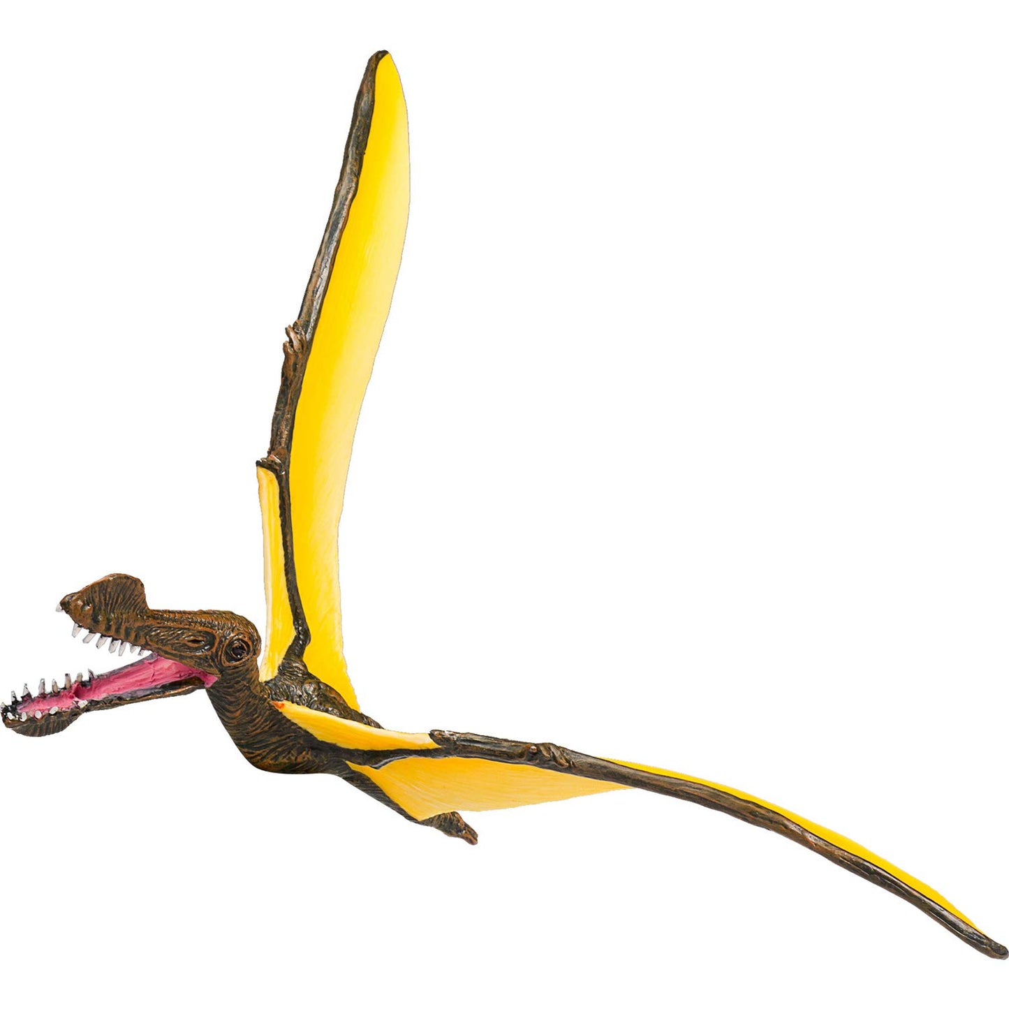 SINGLE UNIT - Tropeognathus