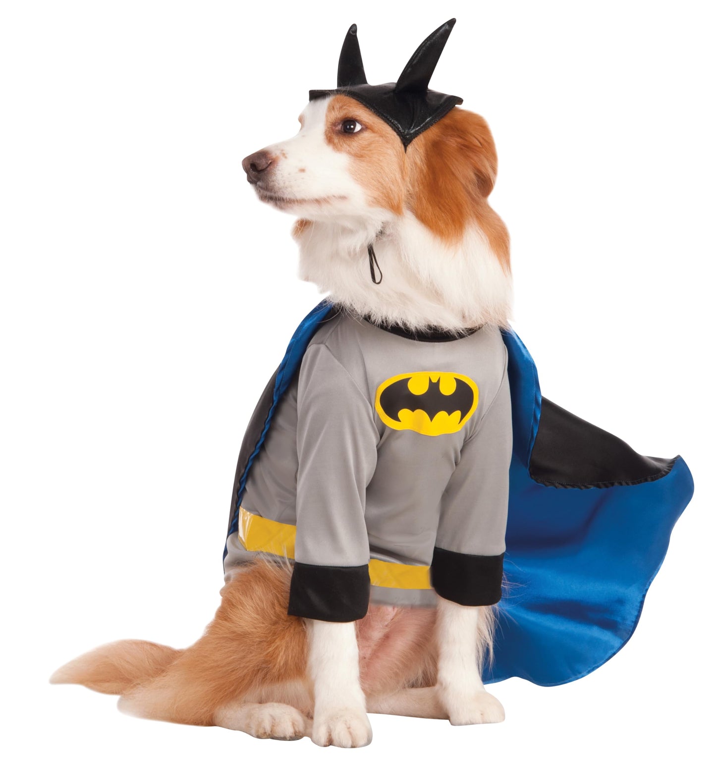 BATMAN PET COSTUME XXXL