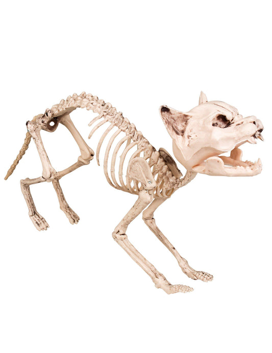 Pc. Decoration Cat skeleton (60 cm)