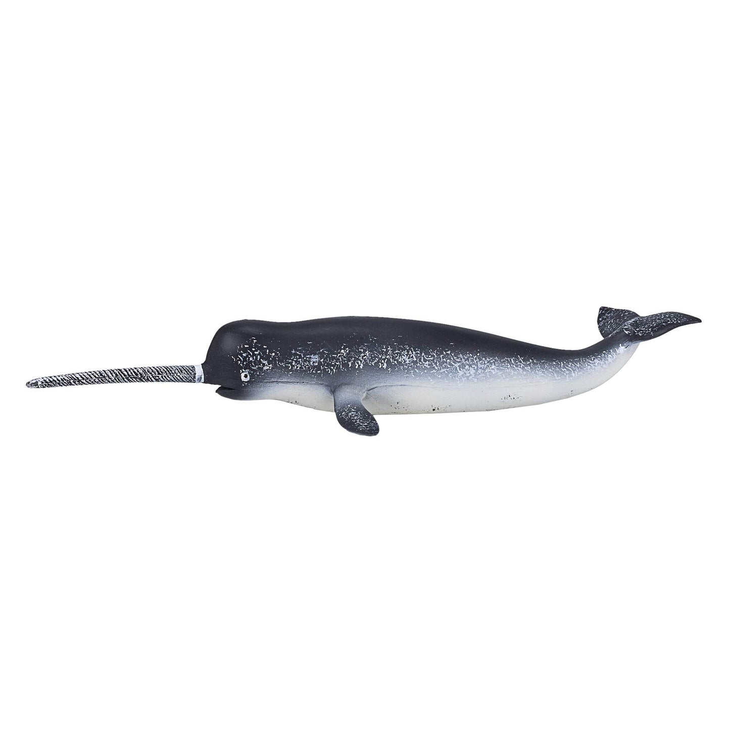 SINGLE UNIT - Narwhal