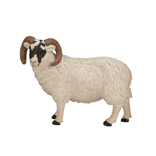 SINGLE UNIT - Black Faced Sheep (Ram)