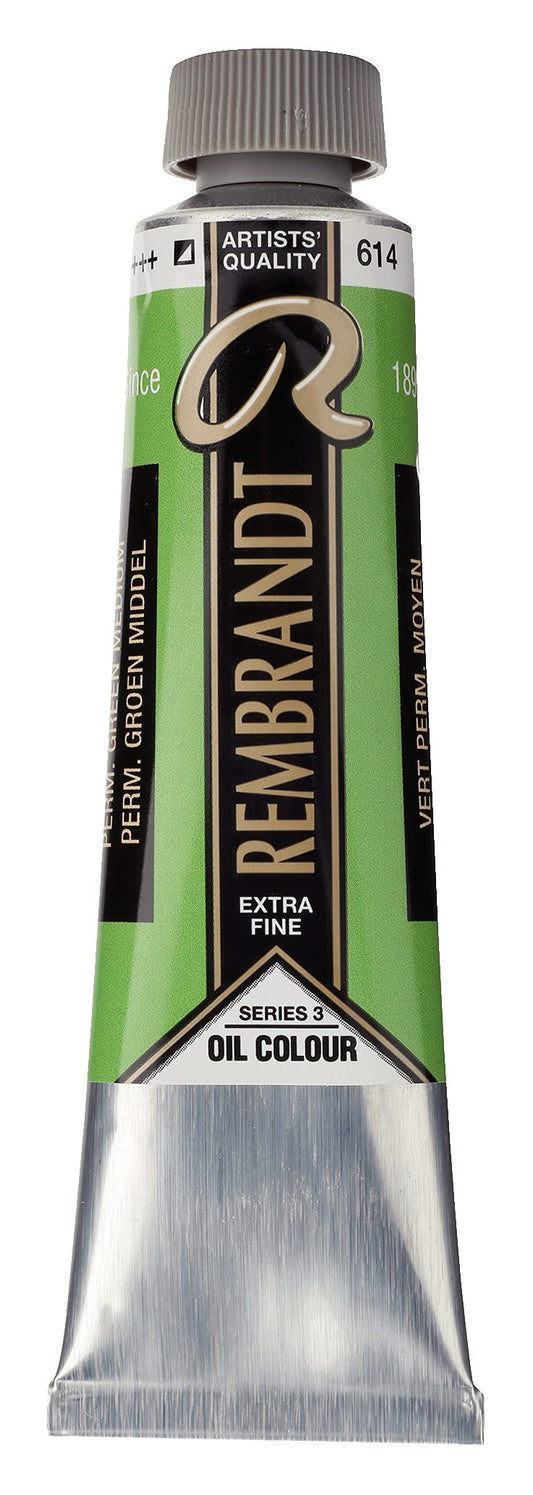 Rembrandt Professional Oil 40ML PERM.GREEN MED