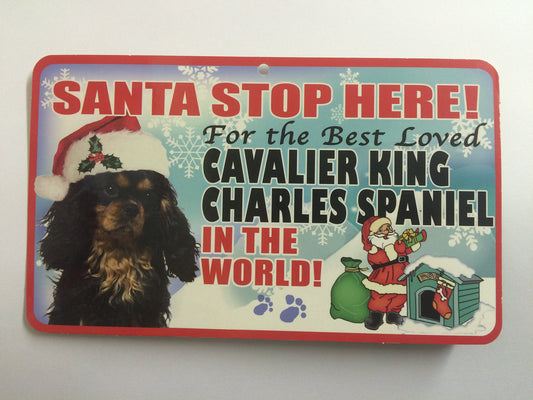 CAVALIER KING CHARLES SANTA STOP HERE PE