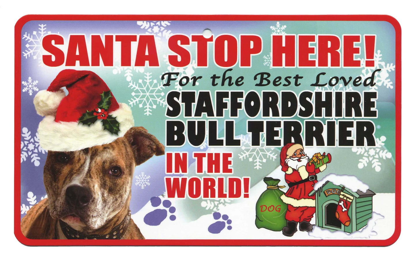 STAFFORDSHIRE BULL TERRIER STOP HERE SI