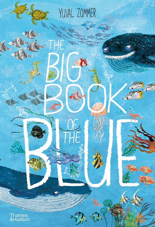 BIG BOOK OF THE BLUE