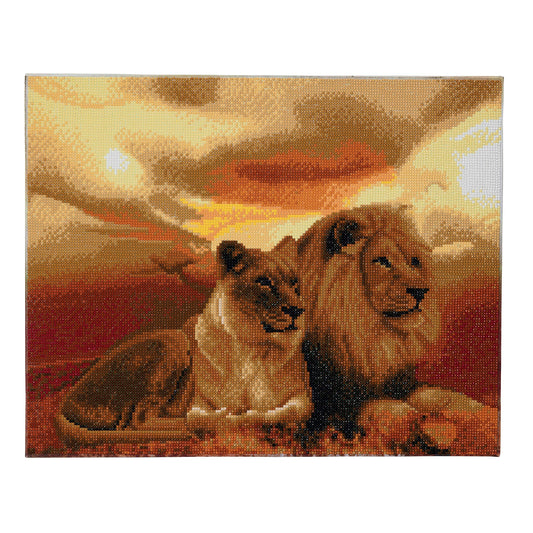 Lions of the Savannah, 40x50cm Crystal Art Kit