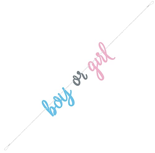 Unique Gender Reveal Boy or Girl Letter Banner | 1 Pc, Pink & Blue