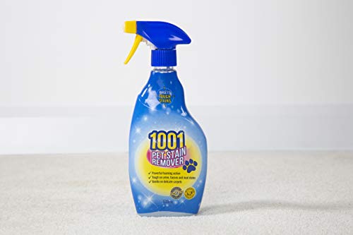 1001 Carpet Stain Remover 500ml Trigger