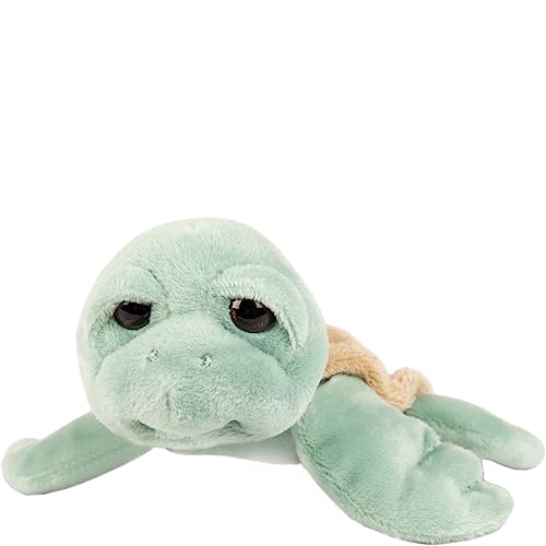 Suki Gifts, Small Caspian Turtle, Minty Green Plush Toy, 14cm