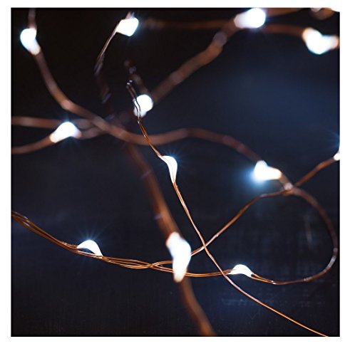 Funtime Gifts Super Bright LED String Lights, Copper, White