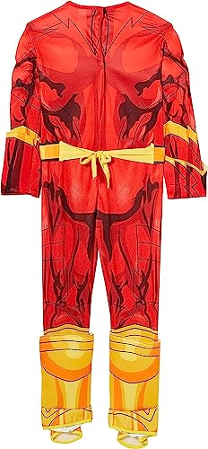 Rubie's Official DC Superhero The Flash Deluxe Child's Costume