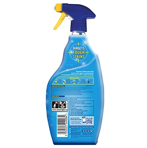 1001 Carpet Stain Remover 500ml Trigger