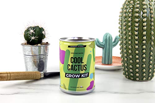 Gift Republic Grow Your Own Cool Cactus