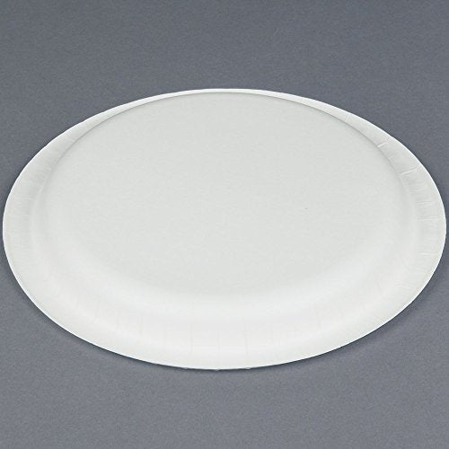 Amscan Disposable Round Party Plates