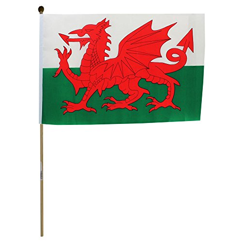 Small Welsh Flag on a stick