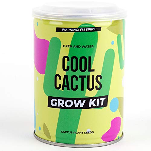 Gift Republic Grow Your Own Cool Cactus