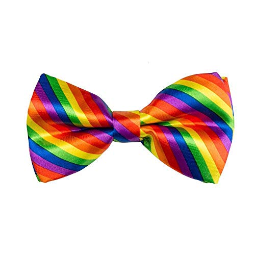 Boland - Multi-coloured Bow tie.