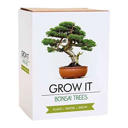 Gift Republic: Grow It. Grow Your Own Bonsai Trees