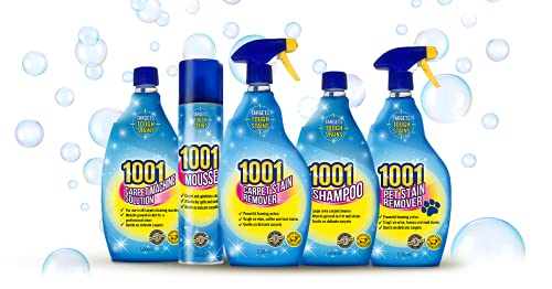 1001 Carpet Stain Remover 500ml Trigger