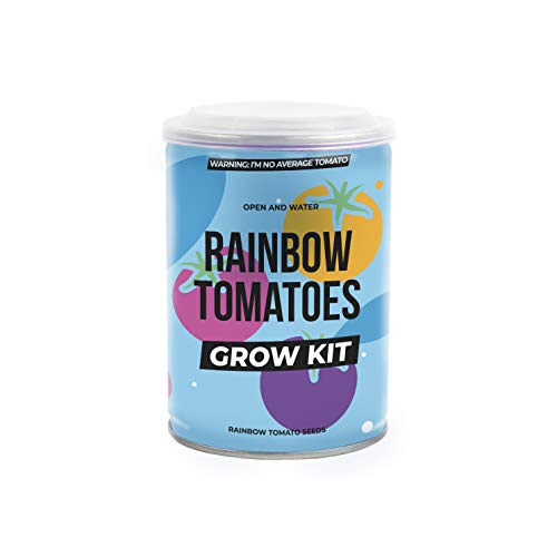 Grow Tin Rainbow Tomatoes