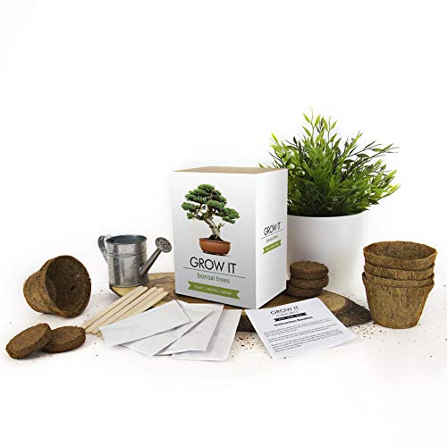 Gift Republic: Grow It. Grow Your Own Bonsai Trees