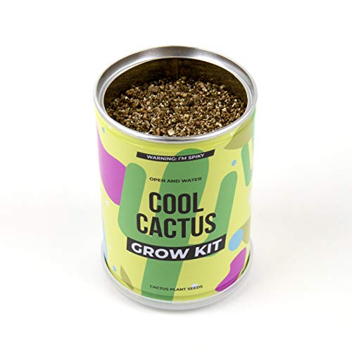 Gift Republic Grow Your Own Cool Cactus