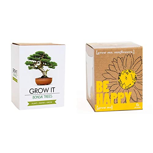 Gift Republic: Grow It. Grow Your Own Bonsai Trees