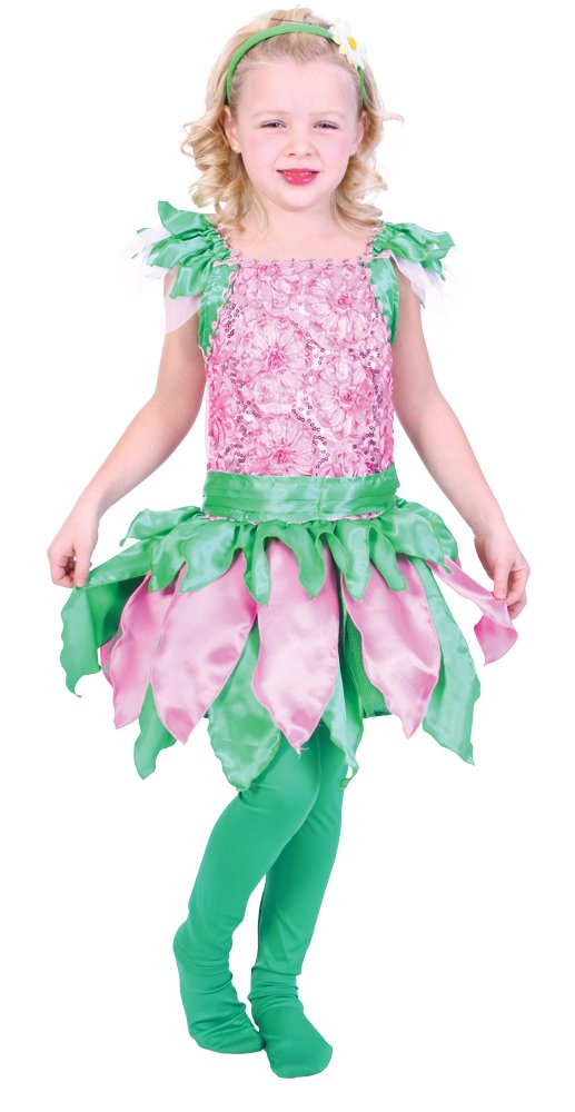 Bristol Novelty Forest Fairy Dress (Medium), Approx Age 5 - 7 Years, Forest Fairy (M)