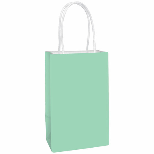 Robin's Egg Blue Paper Gift Bags 21cm x 13cm x 9cm