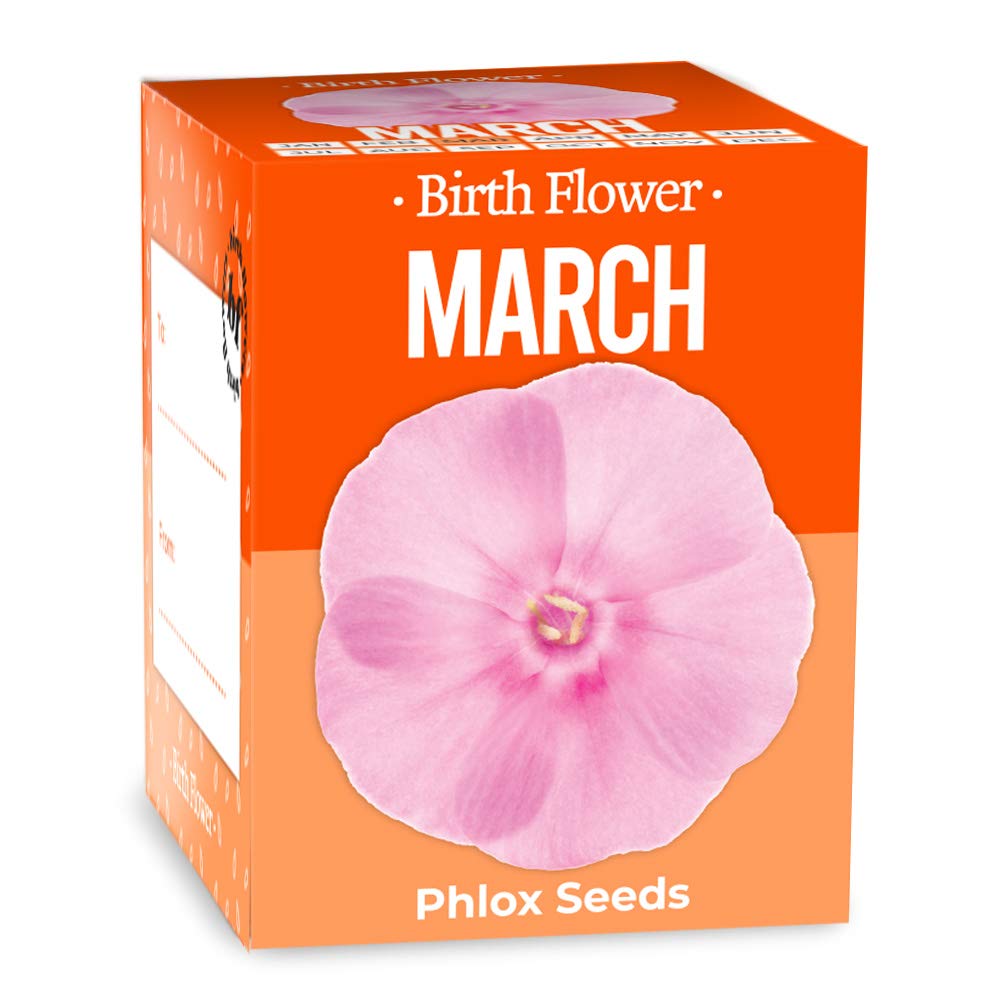 Gift Republic March Birth Flowers, Multi, 12.0 cm*12.0 cm*12.0 cm