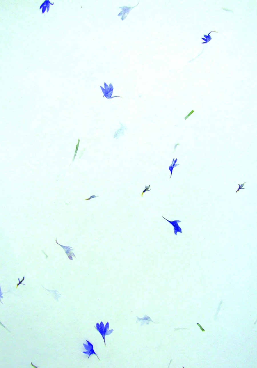 Exotics Cornflower Petals Design Paper (Pack of 5)