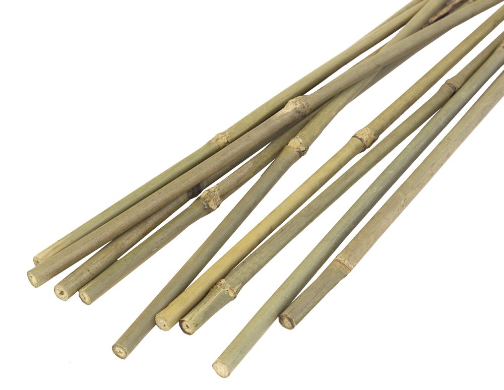 JVL Natural Bamboo Garden Canes, Brown