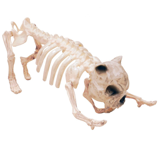 Amscan Boneyard Skeleton Dogs 22cm x 42cm