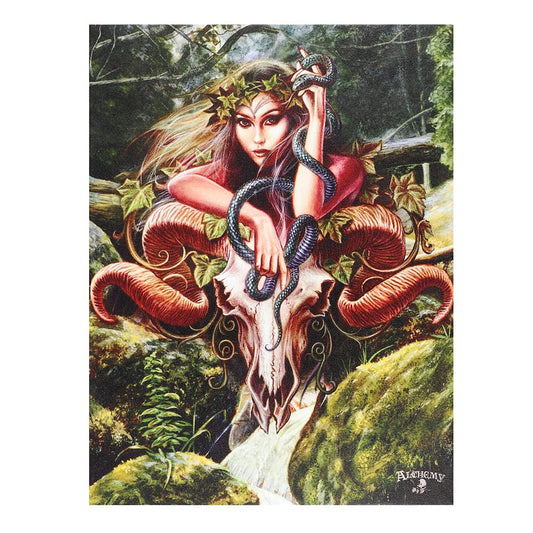 Something Different Canvas Plaque, Black, Violet