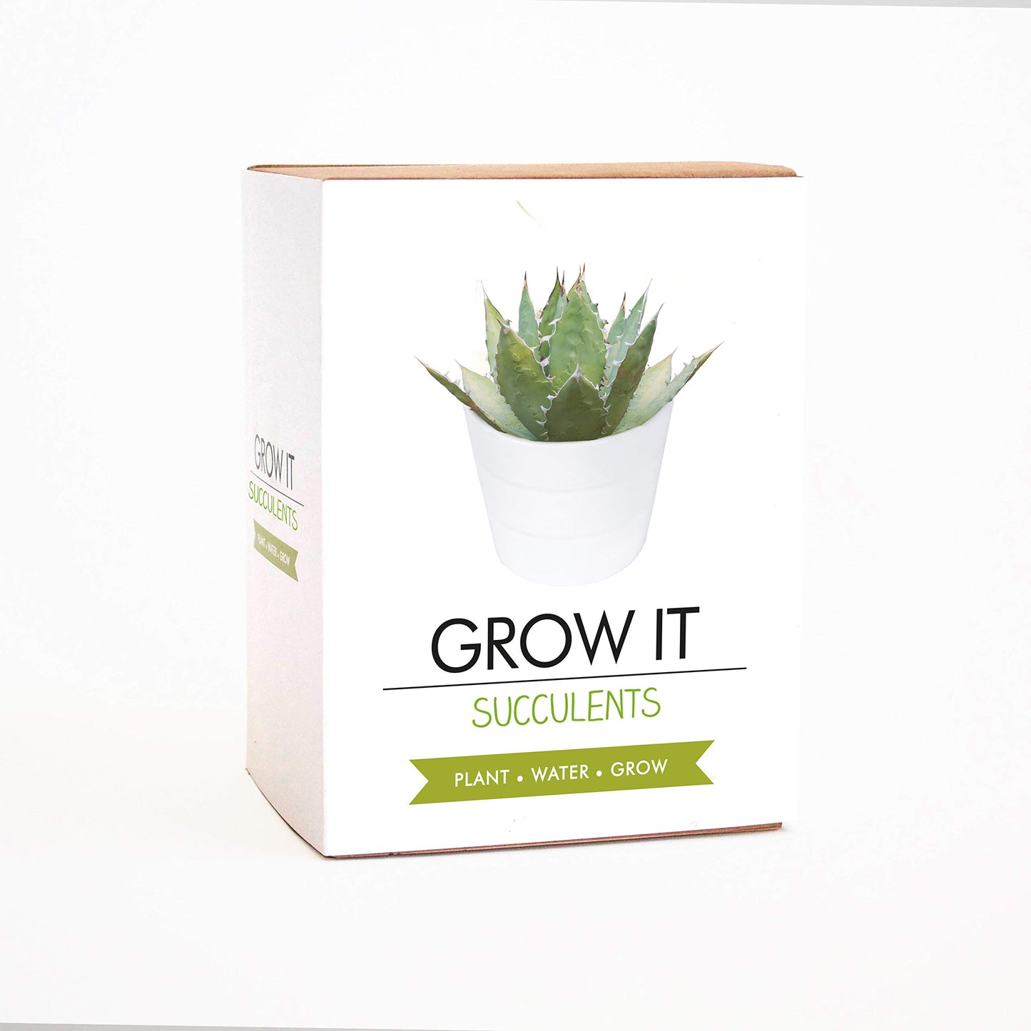 Gift Republic Grow It Succulents