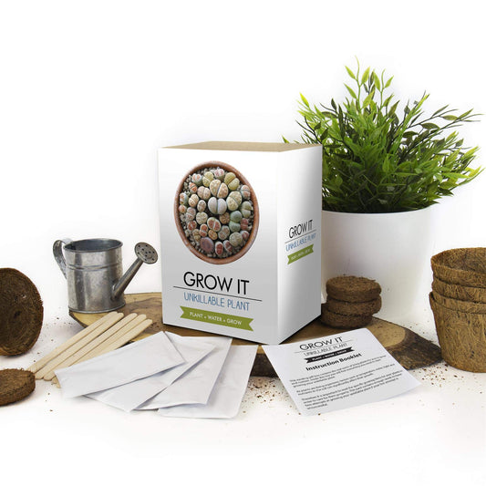 Gift Republic Grow It Kit Unkillable Plant