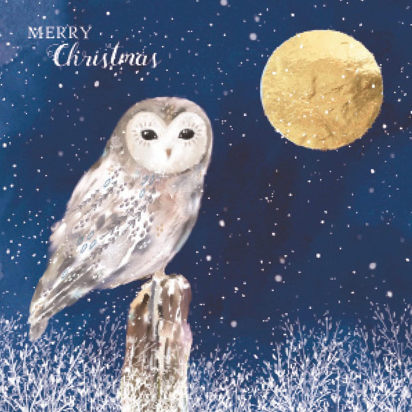 Quayside Cards Charity Christmas Card Pack - Moonlight Owl