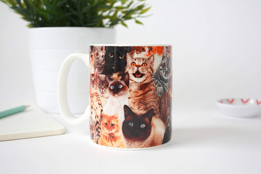 Crazy Cat Lady Mug