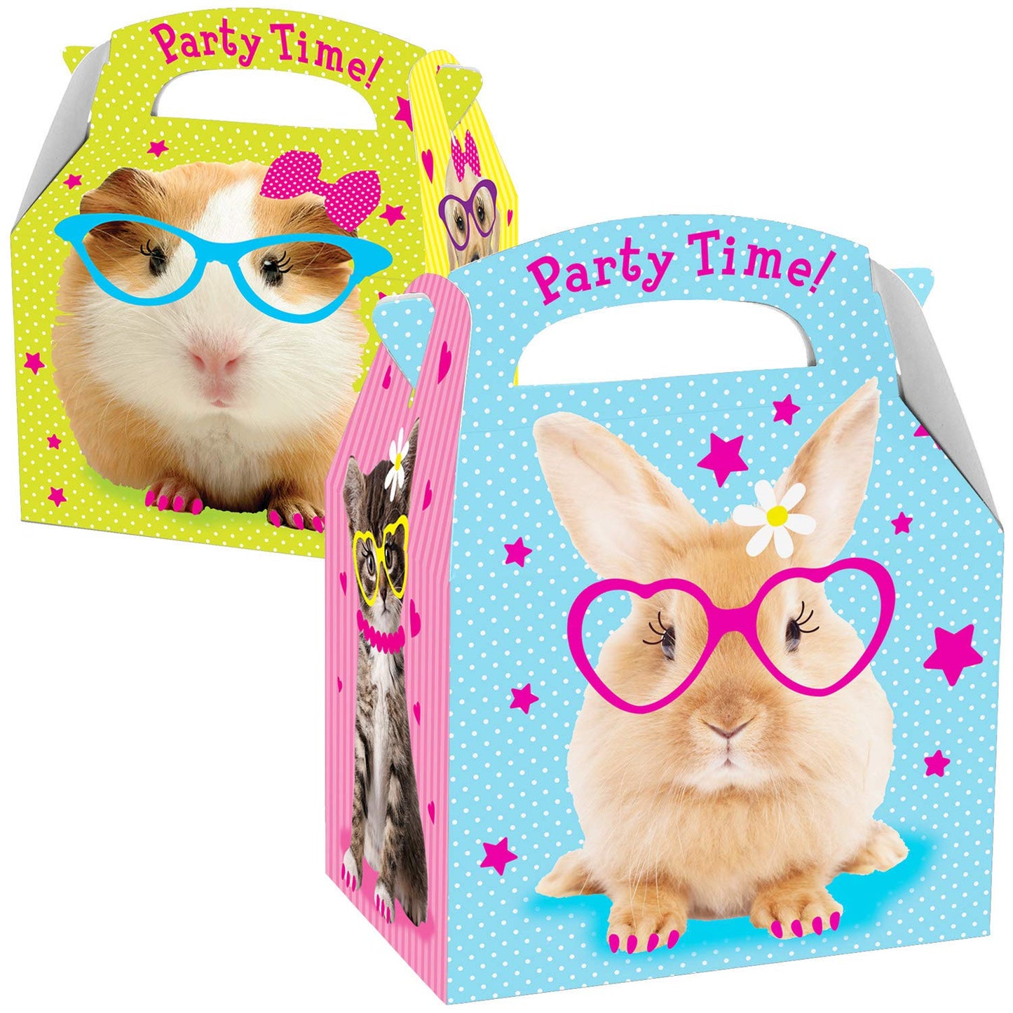 Favours Party Boxes Pet x15