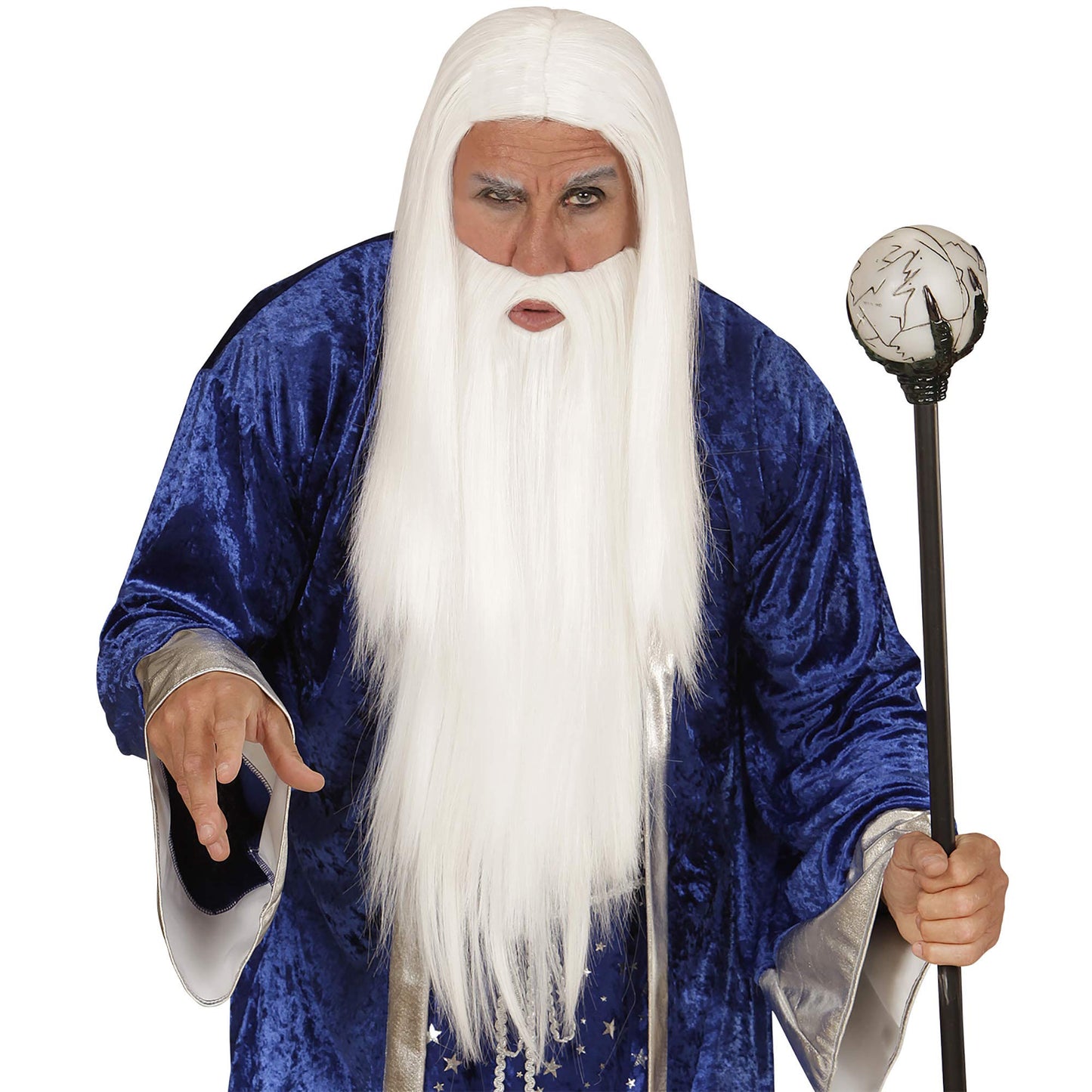 "WIZARD WIG & BEARD" in polybag -