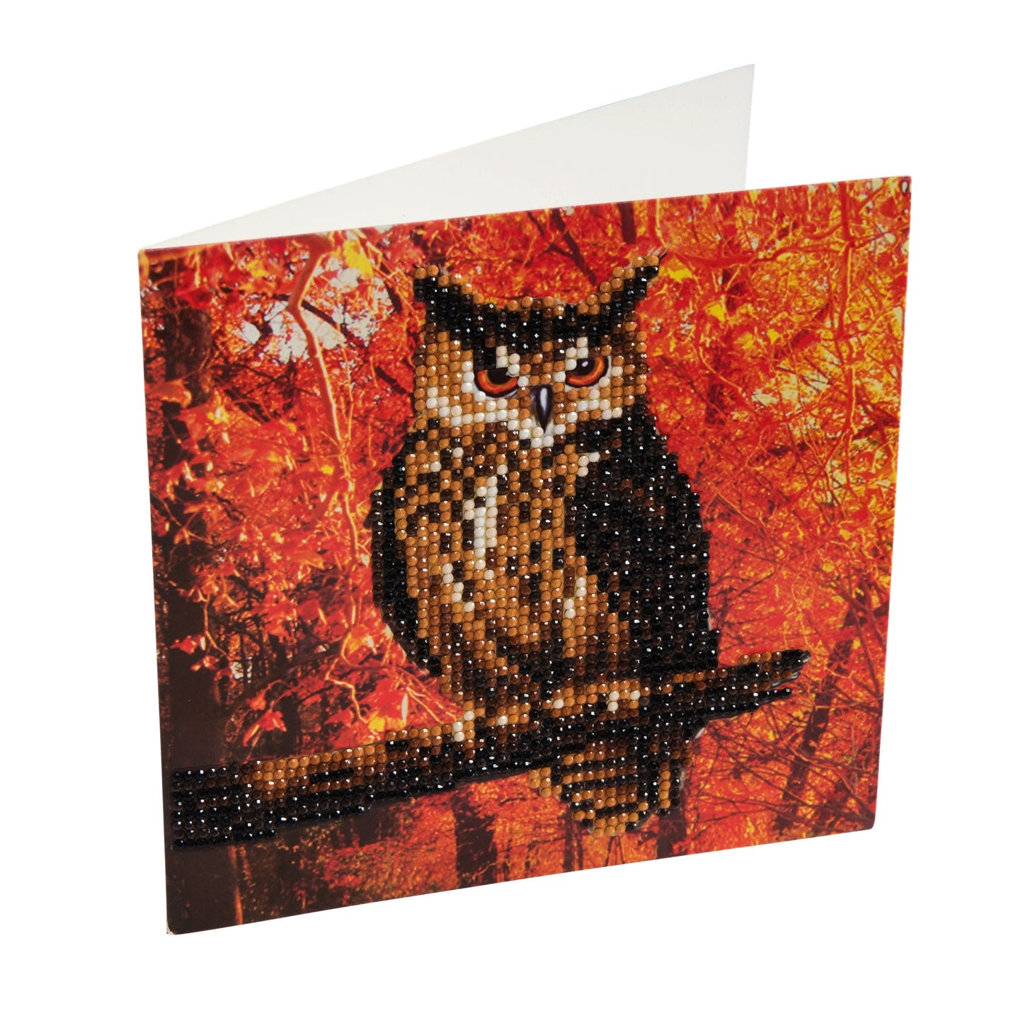 Crystal Art Autumn Owl Crystal Art Card Kit 18 x 18 cm