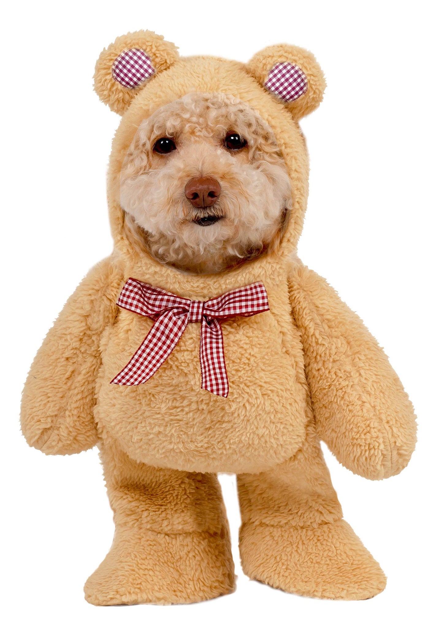 Rubie's Official Walking Teddy Bear Pet Costume, Size X-Large