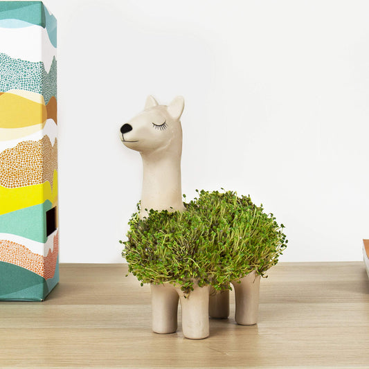 Gift Republic Llama Shaped Chia Planter, White